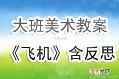 中班主题搭飞机教案反思