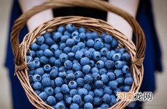 流鼻血是因为“上火”？宝宝流鼻血怎样快速止住？