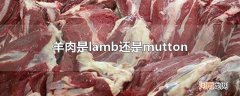 羊肉是lamb还是mutton