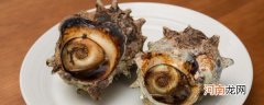 海螺肉的家常做法 如何做海螺肉