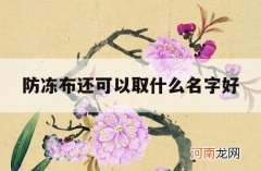 防冻布还可以取什么名字好_防冻液起什么名字好呢