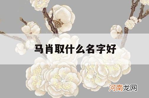 马肖取什么名字好_生肖属马取名宜忌