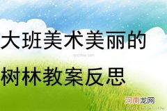 中班美术活动阳澄湖的树林教案反思