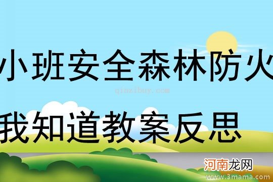 附教学反思 大班安全活动教案：防火知识我知道教案