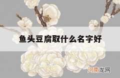 鱼头豆腐取什么名字好_鱼豆腐好听的名字