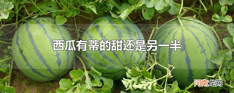 西瓜有蒂的甜还是另一半