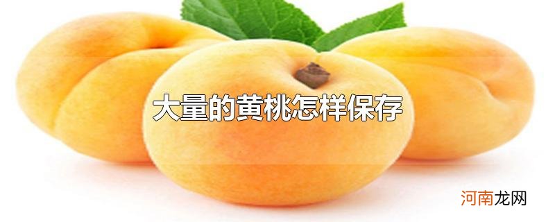 大量的黄桃怎样保存