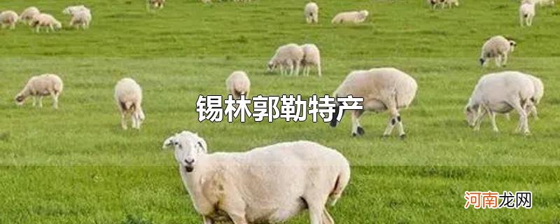 锡林郭勒特产