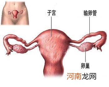 不排卵性不孕的常见治疗方法