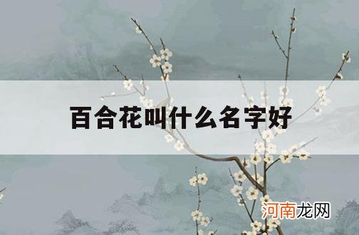 百合花叫什么名字好_百合花有什么别名