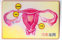 排卵障碍有什么症状