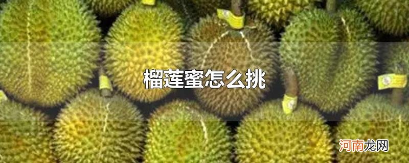 榴莲蜜怎么挑