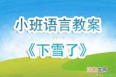 附教学反思 小班语言活动教案：下雪了教案