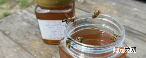 野生蜂蜜怎么辨别真假 辨别野生蜂蜜真假的方法
