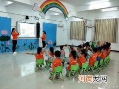 中班科学活动手能“看”东西教案反思