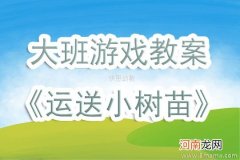 大班健康活动运送小树苗教案反思