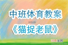 中班体育游戏活动猫捉老鼠教案反思