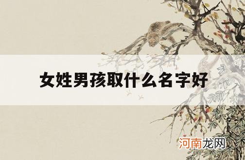 女姓男孩取什么名字好_女的取男的名字好不好