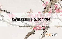 妈妈群叫什么名字好_有妈妈的群名称大全