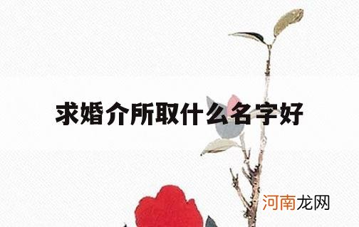 求婚介所取什么名字好_婚介所的名字一般什么比较好