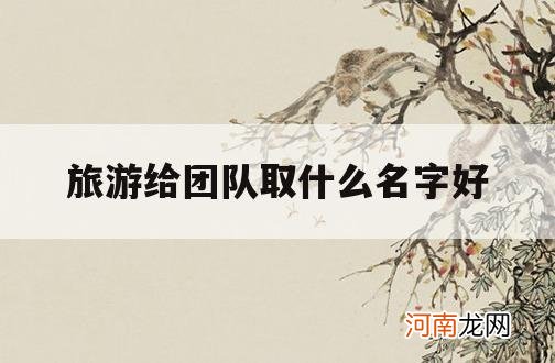 旅游给团队取什么名字好_有创意的旅游团队名字