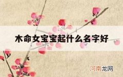 木命女宝宝起什么名字好_木命的小女孩取什么名字好?