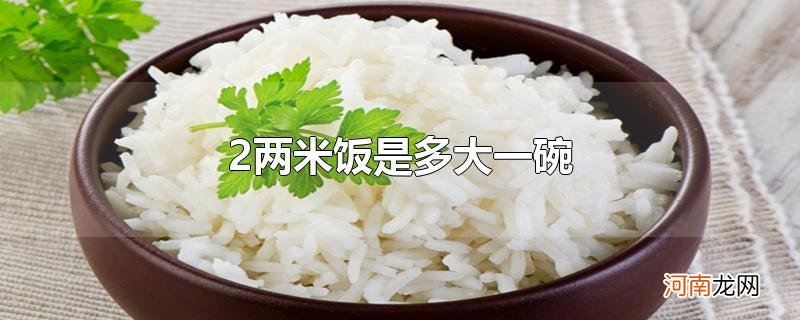 2两米饭是多大一碗