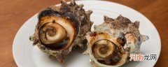炒螺肉的做法 炒螺肉的烹饪方法