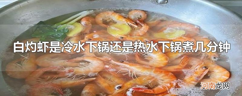 白灼虾是冷水下锅还是热水下锅煮几分钟