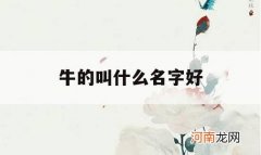 牛的叫什么名字好_最出名的牛叫什么名字