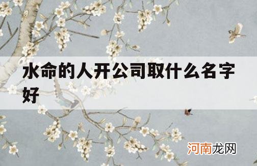 水命的人开公司取什么名字好_适合水命的公司名字