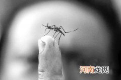 秋蚊子可以传播乙脑 孩子被蚊子叮咬的补救