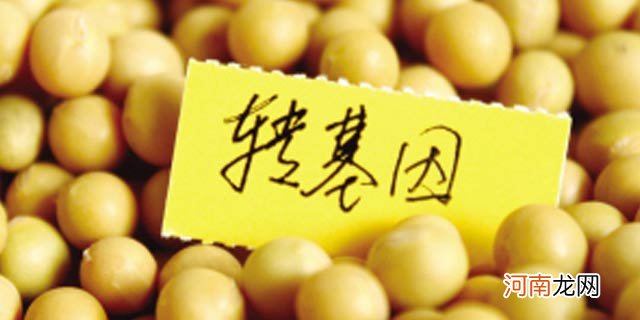 转基因大豆与肿瘤不孕高相关