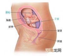 造成胎儿先天性畸形的原因