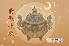 凤阁星入命宫 分析什么是凤阁星