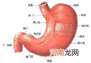 出现消化性溃疡的症状 此病以男孩多见