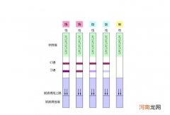 排卵试纸产品不同结果有差异