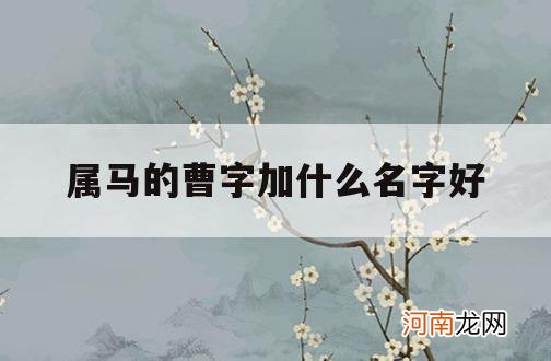 属马的曹字加什么名字好_属马取名适合用什么字