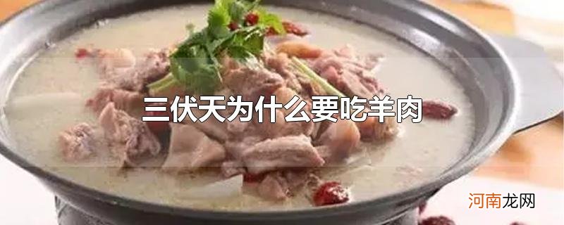 三伏天为什么要吃羊肉