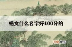 杨文什么名字好100分的_杨文的名字打分