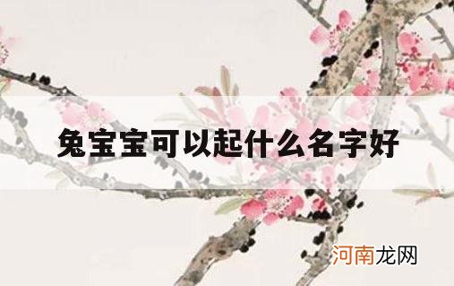 兔宝宝可以起什么名字好_兔子起什么名字好?