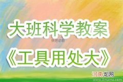 中班科学活动我家的绿精灵教案反思