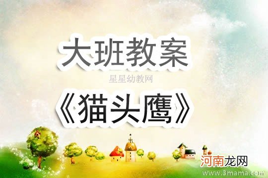 大班语言活动蝴蝶飞，青蛙跳教案反思