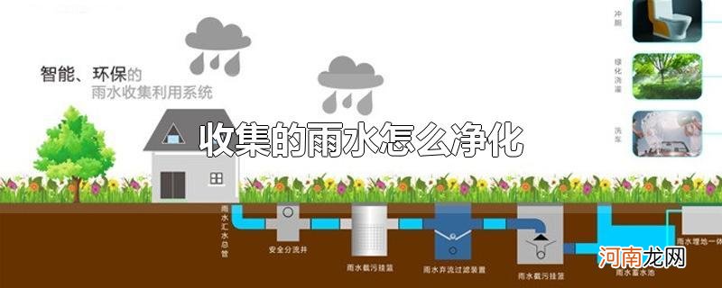 收集的雨水怎么净化