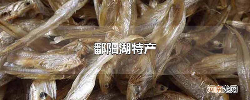 鄱阳湖特产