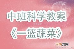 中班科学一篮蔬菜教案反思