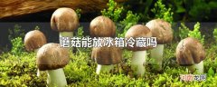 蘑菇能放冰箱冷藏吗