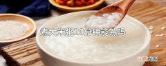 煮大米粥20分钟能熟吗