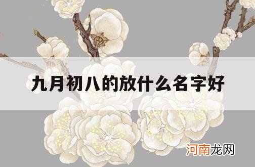 九月初八的放什么名字好_八月初八取名