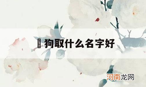 屬狗取什么名字好_男孩属狗取什么名字好